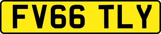 FV66TLY