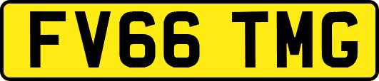 FV66TMG