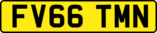 FV66TMN