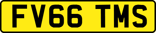 FV66TMS