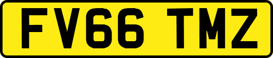 FV66TMZ