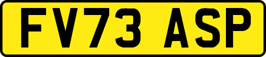 FV73ASP