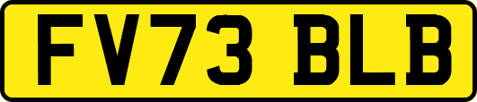 FV73BLB