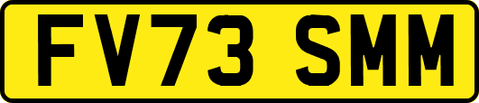 FV73SMM
