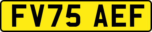 FV75AEF