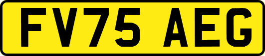 FV75AEG