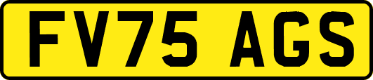 FV75AGS