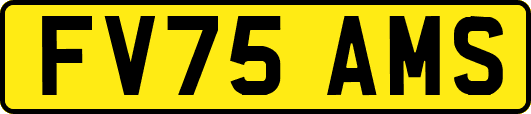 FV75AMS