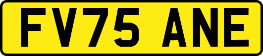 FV75ANE
