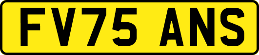 FV75ANS