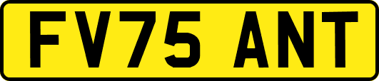 FV75ANT