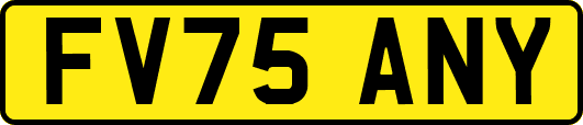 FV75ANY