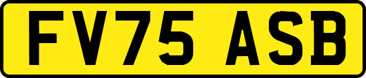 FV75ASB