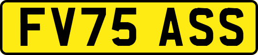 FV75ASS