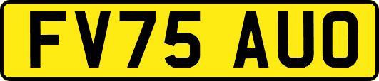 FV75AUO