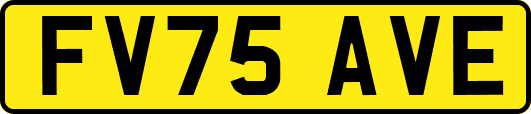 FV75AVE