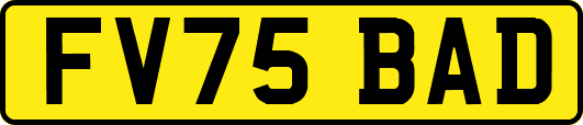 FV75BAD