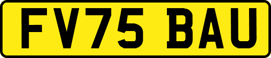 FV75BAU