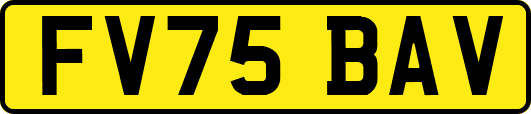 FV75BAV
