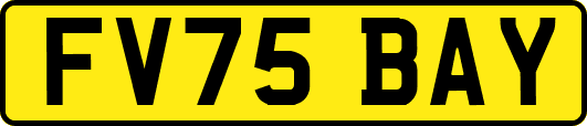 FV75BAY