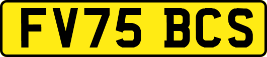 FV75BCS
