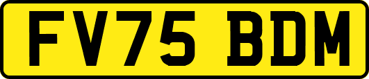 FV75BDM