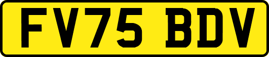 FV75BDV