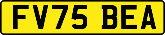 FV75BEA