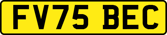 FV75BEC