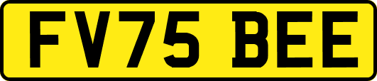 FV75BEE