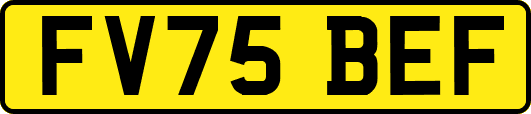 FV75BEF