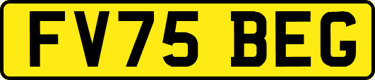FV75BEG
