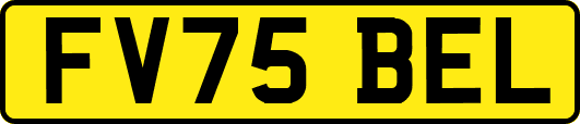 FV75BEL