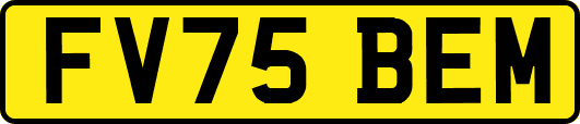 FV75BEM