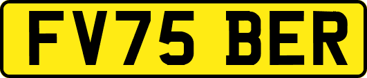 FV75BER