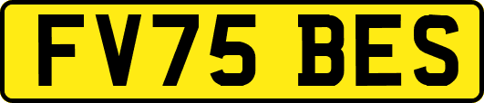 FV75BES
