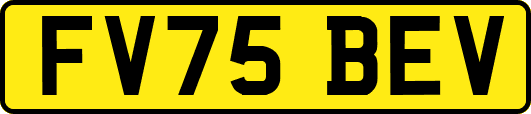 FV75BEV