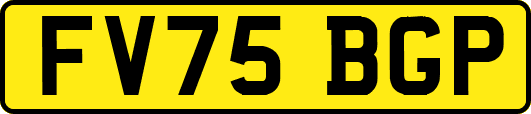 FV75BGP
