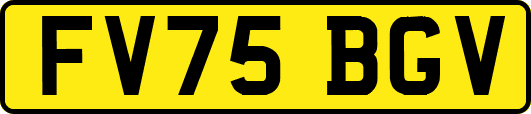 FV75BGV