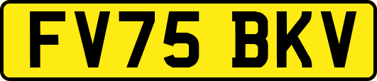 FV75BKV