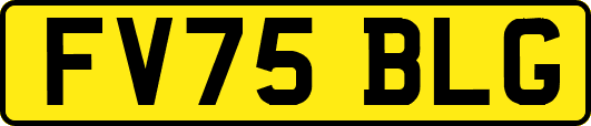 FV75BLG