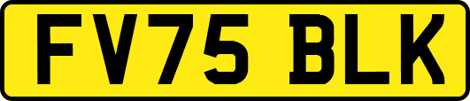 FV75BLK