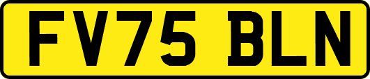 FV75BLN