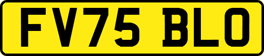 FV75BLO