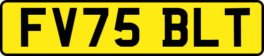 FV75BLT