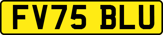 FV75BLU