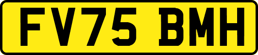FV75BMH