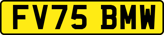 FV75BMW