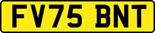 FV75BNT