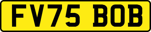 FV75BOB
